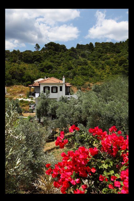 Mando Beachfront Stafylos Dış mekan fotoğraf