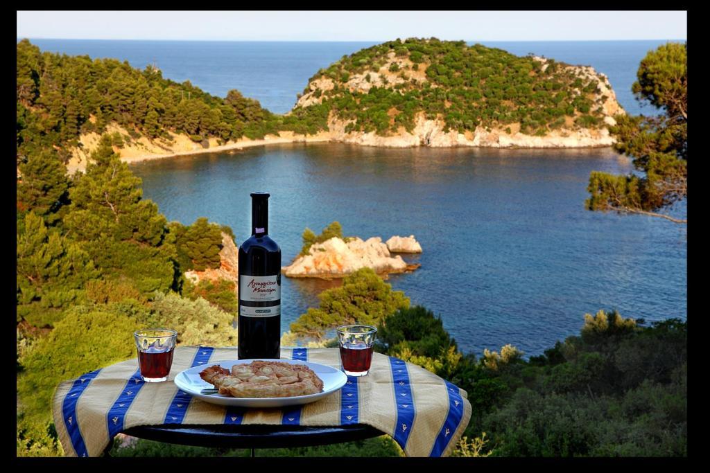 Mando Beachfront Stafylos Oda fotoğraf