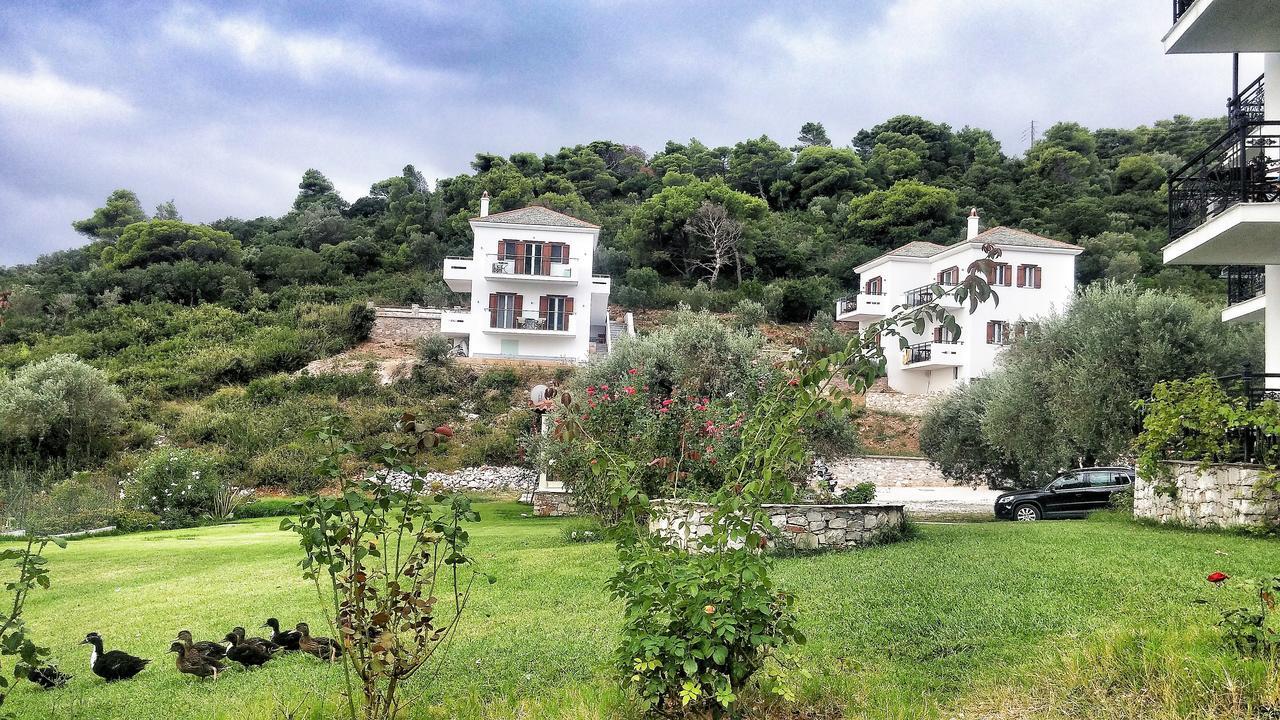 Mando Beachfront Stafylos Dış mekan fotoğraf